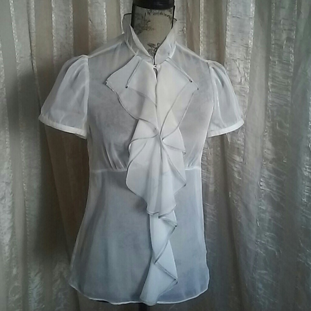 The Limited Women's Sheer Blouse Top